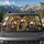 Funny Realistic Donkeys In Beige Vehicle Cabin Road Trip Humor For Animal Lovers Car Sunshade - 4