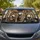 Funny Realistic Donkeys In Beige Vehicle Cabin Road Trip Humor For Animal Lovers Car Sunshade - 3