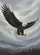 Bald Eagle Wings Extended Talons Down Cloudy Mist Landmass Sky - Wildlife Lover Gift Baseball Jersey - 6