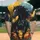 Black Horse Red Eyes Flowing Mane Mid-Stride White Blaze - Wildlife Lover Gift Baseball Jersey - 2