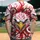 Aggressive Eagle Red Eyes Golden Beak Black Chains Red Swirls - Bold Style Statement Baseball Jersey - 2