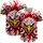 Aggressive Eagle Red Eyes Golden Beak Black Chains Red Swirls - Bold Style Statement Baseball Jersey - 5
