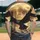 Flying Owl Full Moon Starry Night Sky Pine Trees - Wildlife Lover Gift Baseball Jersey - 2