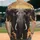 duiyfppz/products/6a45d319d7a78664e03a7a90/gallery/HbUo7Pk6Gi