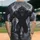 duiyfppz/products/6a45dece4306312bc6ecf560/gallery/J2tT8IwrAx