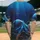 duiyfppz/products/6a45e69a2ea88458ca98347b/gallery/4B3m7364nG