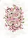 duiyfppz/products/6a45e876df7021bee64c6f47/gallery/Qy4rQNFnHB