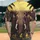 duiyfppz/products/6a45e8ce9fe3986be6c68456/gallery/N-nxFfgCyQ