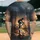 duiyfppz/products/6a45e8eb35692576ac8babe6/gallery/3PYqz6Xf7p