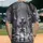 duiyfppz/products/6a45e9bbd7a78692453a9b4b/gallery/WBX1sXcI4V