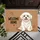 duiyfppz/products/6a460d06d7a786416a3ab925/gallery/77s1rz0u03