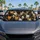 duiyfppz/products/6a460f109fe39844afc6a926/gallery/zC4EYWA-iw