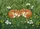 duiyfppz/products/6a460fe16296992367f424c9/gallery/s9Kj_3I45W