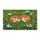 duiyfppz/products/6a460fe16296992367f424c9/gallery/yD0gKQPXDo