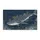 duiyfppz/products/6a46143dd7a786b2183ac5b8/gallery/lo3OMtd6ho