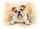 duiyfppz/products/6a46216b37ae134b7d8bca2e/gallery/KGEJPlwSF0