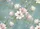 duiyfppz/products/6a462367d7a78659053ad541/gallery/iAIEcffVm0