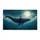 duiyfppz/products/6a4624b61e29dc91fa5dbdee/gallery/R1kZLMndWZ