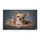 duiyfppz/products/6a4625f137ae1309378bd039/gallery/61Fd6sw_RC