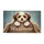 duiyfppz/products/6a46264337ae131f258bd0a4/gallery/g9chxuNO3Y