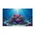 duiyfppz/products/6a4626d04306318f49ed4d92/gallery/1ek43XkR5w