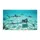 duiyfppz/products/6a46319d9fe398b72fc6d5f6/gallery/9_qwzYbetZ