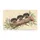 duiyfppz/products/6a4631cc4306316820ed5f7b/gallery/sxAYM-PDZB