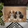 duiyfppz/products/6a46336b655f856e0c558bdb/gallery/bN9Fb9t2JP