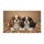 duiyfppz/products/6a46336b655f856e0c558bdb/gallery/xqNfB8wnYr
