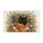 duiyfppz/products/6a46355dd7a78672f33aee01/gallery/4QK1Hr_BAT