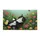 duiyfppz/products/6a463b1adf7021687d4ce3af/gallery/FFJcw-89lS
