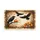 duiyfppz/products/6a463ef6430631968fed702b/gallery/oy3qhgHPvG