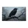 duiyfppz/products/6a463f3ad7a786e37e3afbb1/gallery/fjPYXQdvTZ