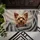 duiyfppz/products/6a46413f9fe3980cd5c6eaa7/gallery/l2KDFlqYji