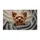duiyfppz/products/6a46413f9fe3980cd5c6eaa7/gallery/sp6dg7gpRg