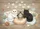 duiyfppz/products/6a4642b9655f8551dc55a223/gallery/c8Uu75PsuC