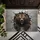 duiyfppz/products/6a464339d7a7862bb83aff95/gallery/SdEdHd5oTN