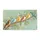 duiyfppz/products/6a464763df702100304cf1a6/gallery/Jk2mG9RO8Q