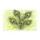 duiyfppz/products/6a46496a37ae13a1228c0140/gallery/-WpXp0zUp-