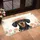 duiyfppz/products/6a464a662ea884f4d998b21f/gallery/B0Ifu83mSv