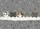 duiyfppz/products/6a4650de2ea884de8698b688/gallery/x9ZATgn-ti