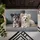 duiyfppz/products/6a4651827cd2e338f98a8c17/gallery/3R6_9s7W0_