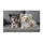 duiyfppz/products/6a4651827cd2e338f98a8c17/gallery/HLb3XvjGEy