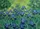 duiyfppz/products/6a4656e71e29dcf8a75e0aa9/gallery/dGCDFI77fw
