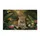 duiyfppz/products/6a465b1c7cd2e389c68ab64b/gallery/h-dyMsX5Vu