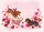 duiyfppz/products/6a465b5d7cd2e311948ab69a/gallery/yjFS6xCyZO