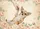 duiyfppz/products/6a465df137ae1349268c45b0/gallery/HmJyxedwM-