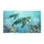 duiyfppz/products/6a465f9c655f8539a8561a61/gallery/2KZef8MHD1