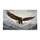 duiyfppz/products/6a4661c037ae13cffb8c557e/gallery/J743Wd7Nbj