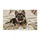 duiyfppz/products/6a4661d7629699e78cf4c02a/gallery/Uip8L9CQ6t